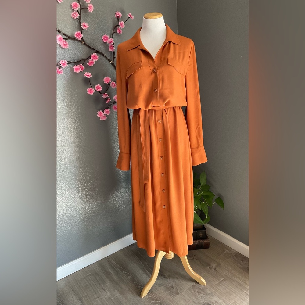 & Other Stories Paris Atelier Shirt Dress